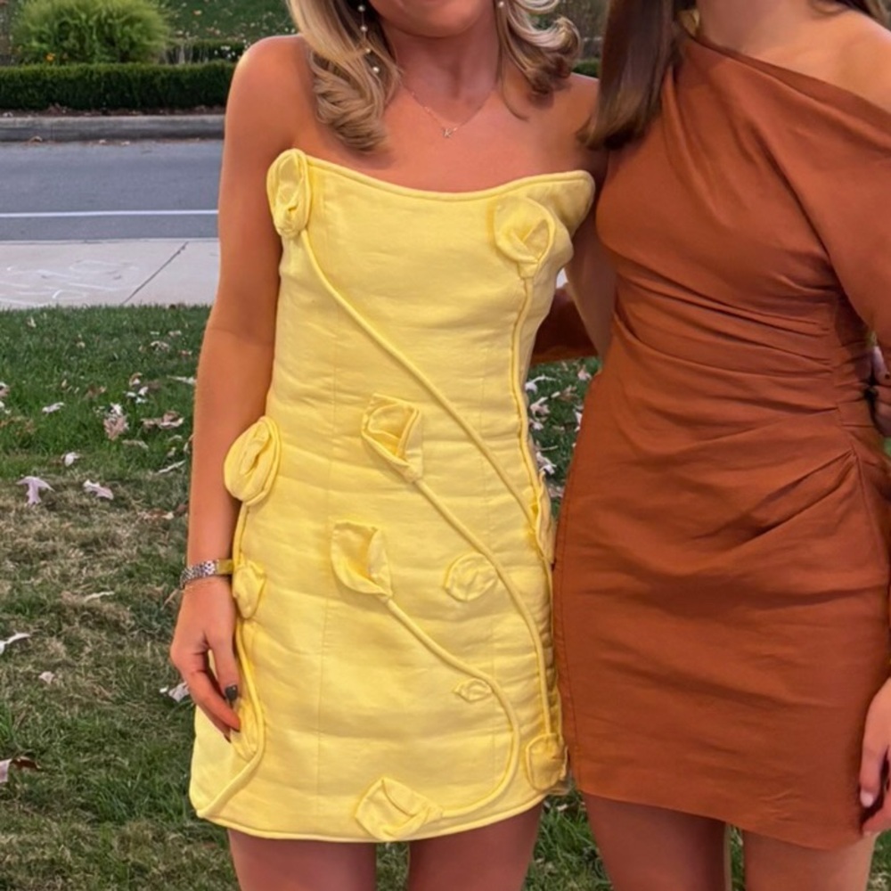 Zimmermann Strapless Yellow Mini Dress - Picture 6 of 6